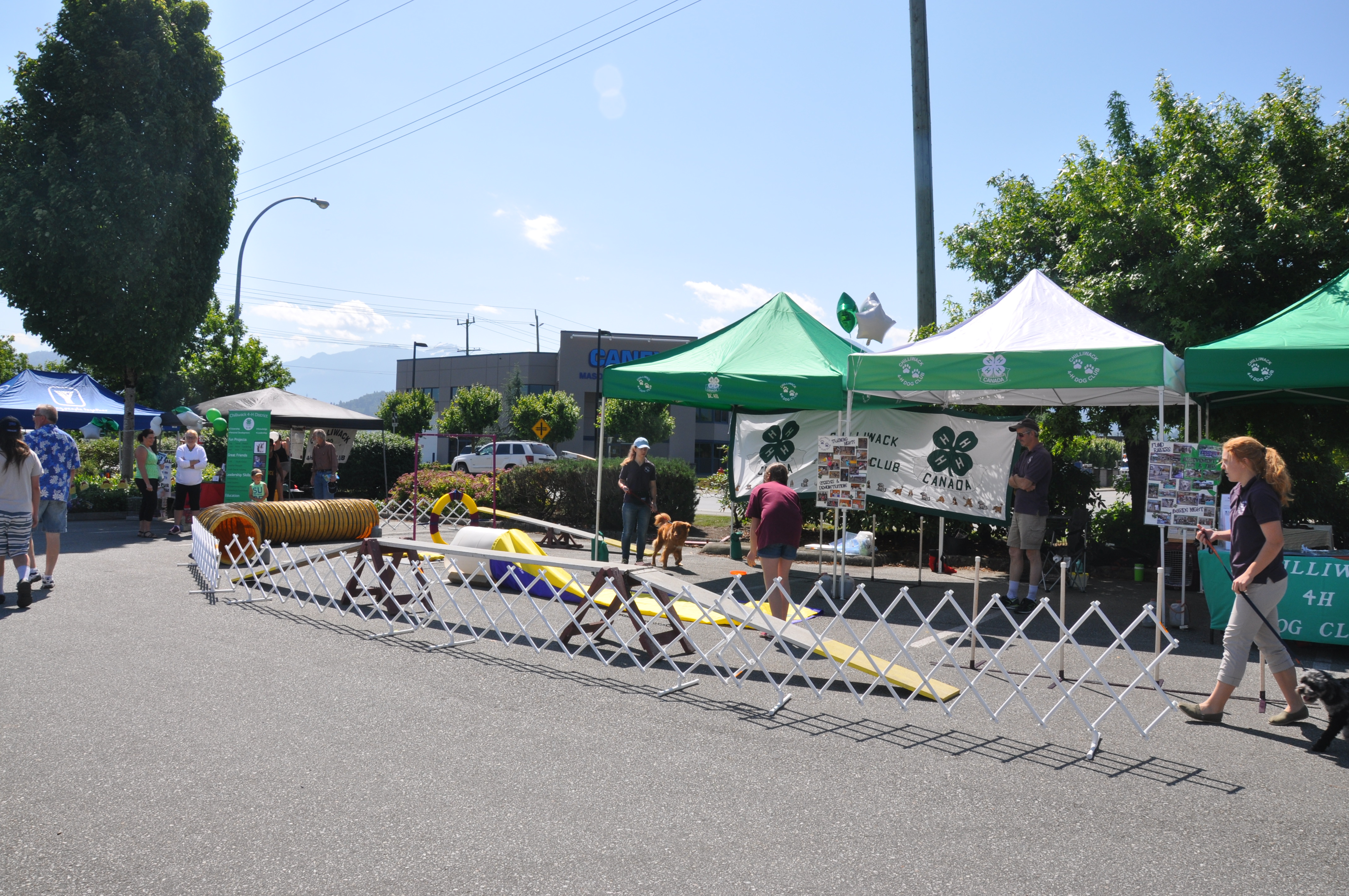 2017-canadian-tire-jumpstart-chilliwack-4-h-dog-club